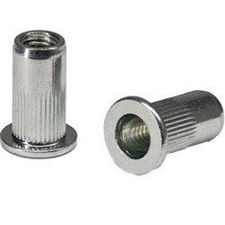 NUTSET RIVET STEEL 10MM PK100