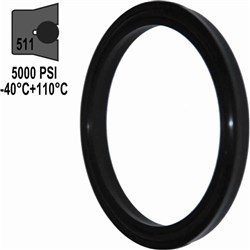 HYD SINGLE ACTING SEAL 1.250