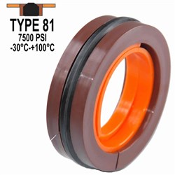 HYD DOUBLE ACTING SEAL 3.000