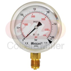 DIAGNOSTIC GAUGE 4560PSI 100MM