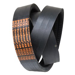 NUT HARVESTER BELT 3 BAND
