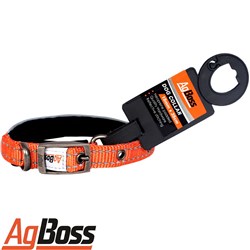 DOG COLLAR ORANGE 15MM X 35CM