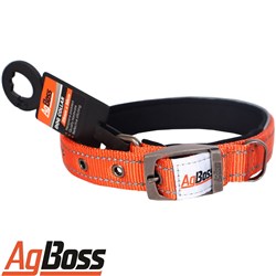 DOG COLLAR ORANGE 25MM X 50CM