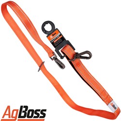 DOG LEAD ORANGE 25MM X 120CM