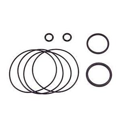 CHAR-LYNN SEAL KIT S/T011