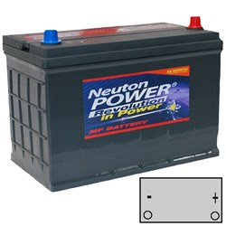 NEUTON SILVER BATTERY 12V