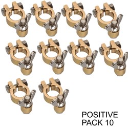 BATTERY TERMINAL WINGNUT PK10