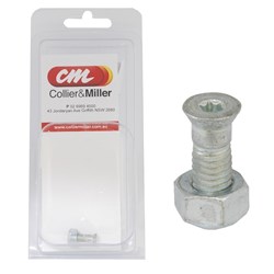 TORX SCREW & NUT T20