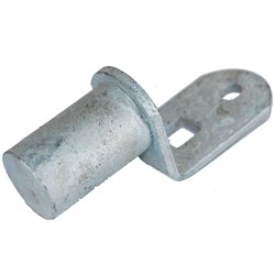 GUDGEON SHORT PLATE 25NB