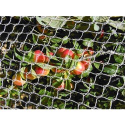 RYSET BIRD NET 5M X 5M