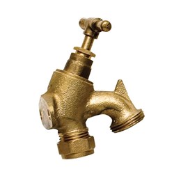 BRASS BIB COCK T/HEAD PLATE