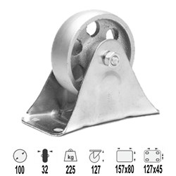 CASTOR C.I 100MM FIXED 225KG