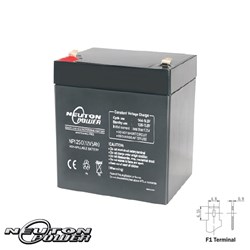 NEUTON POWER AGM BATTERY