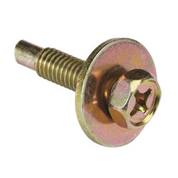 AUTO SEMS SCREWS 6MM (PK)