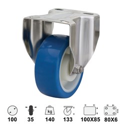 CASTOR S/STEEL FIXED 100MM