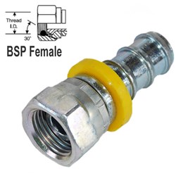 HYD TAIL/BSPP FEMALE