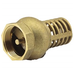 BRASS BSP FOOT VALVE F