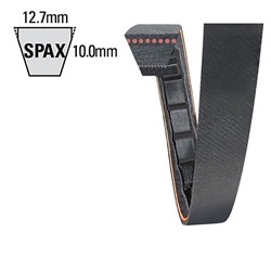 RAW EDGE COGGED BELT SPAX1250