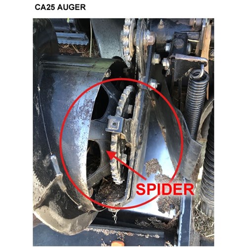 CA25Spider