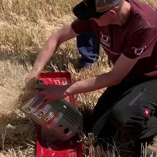 Grain Monitoring