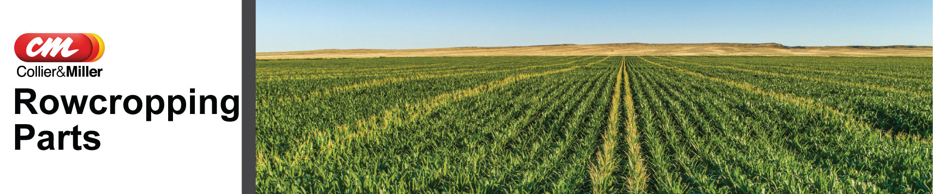 <p class="MsoNormal">Discover a comprehensive range of high-quality row cropping parts at Collier &amp; Miller. From tillage parts that break up compacted soil to furrowing tools that create ideal planting conditions, we supply the essential parts needed for effective row crop farming. Whether you&rsquo;re replacing worn components or upgrading your equipment, our row cropping parts deliver reliability and performance in even the toughest field conditions.<o:p></o:p></p>