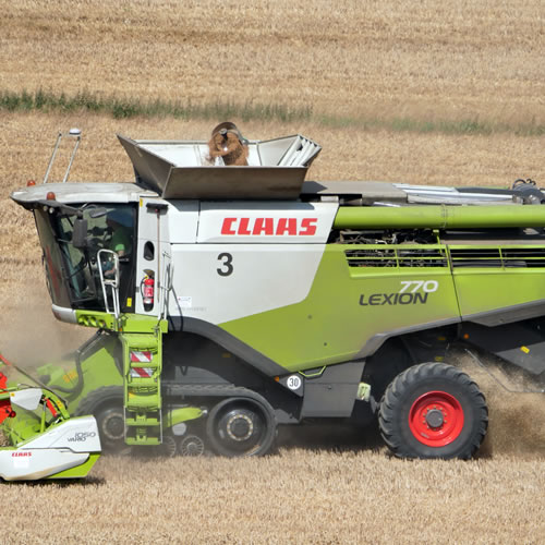 LEXION 770