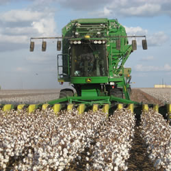 John Deere Cotton Pickers