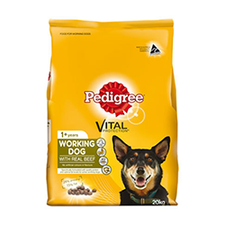 Pet Food & Accessories