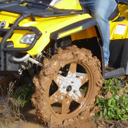Wheels & Tyres