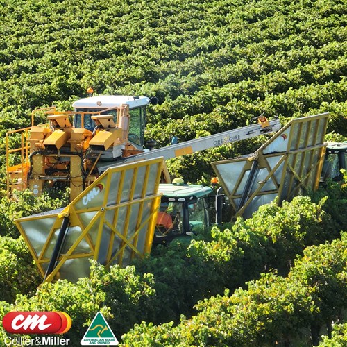 C&M S/STEEL GRAPE BIN 6 TONNE TRACTOR REMOTE HYDRAULICS COLLIER MILLER GRAPE GONDOLA Collier