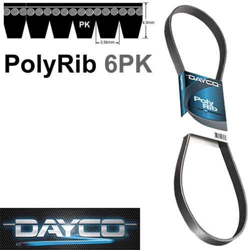 dog belt and chain