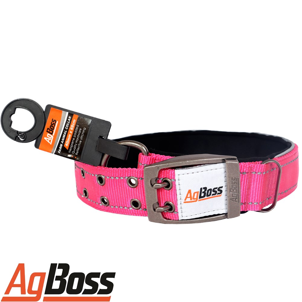 DOG COLLAR HOT PINK 40MMX65CM HIVIS REFLECTIVE STITCHING FULLY PADDED